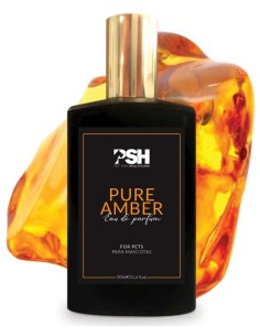 PURE AMBER EAU DE PARFUM PSH - 50 ML