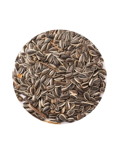 PIPA IREGUI RAYADA PET CUP - 1 KG (GRANEL) 