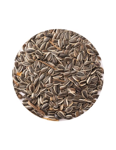 PIPA IREGUI RAYADA PET CUP - 1 KG (GRANEL) 