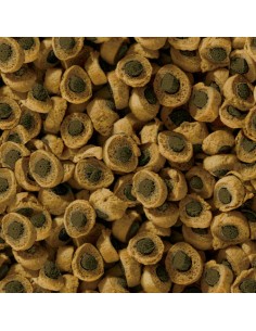 REPTIL PROFESSIONAL HERBIVOR NATURE SERA 2