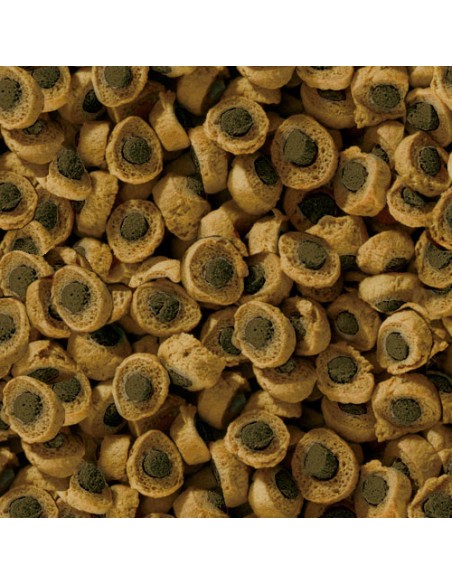 REPTIL PROFESSIONAL HERBIVOR NATURE SERA