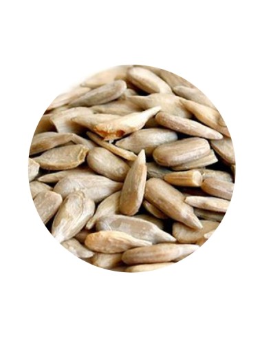 PIPA PELADA PET CUP - 1 KG (GRANEL) 