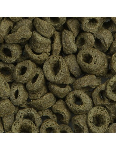 TURTLE ADULT NATURE SERA - 1,000 ML (260 GR)