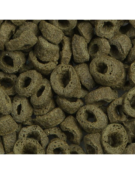 TURTLE ADULT NATURE SERA - 1,000 ML (260 GR)