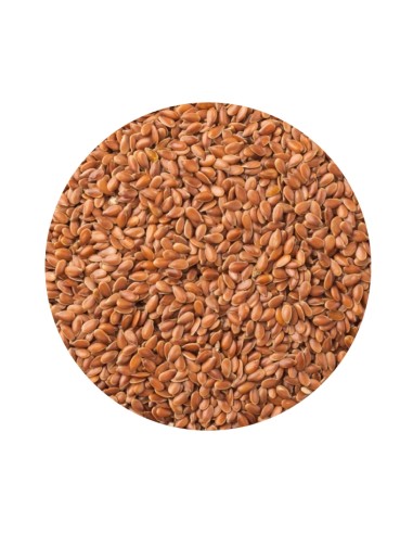 LINAZA MARRON PET CUP - 1 KG (GRANEL) 