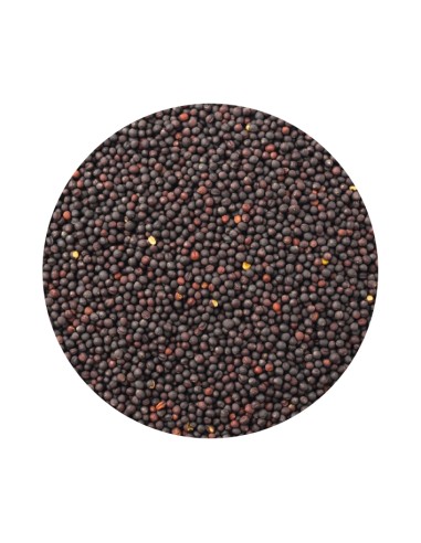 COLZA PET CUP - 1 KG (GRANEL) 