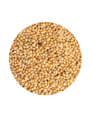 MIJO BLANCO PET CUP - 1 KG (GRANEL) 