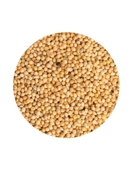 MIJO BLANCO PET CUP - 1 KG (GRANEL) 