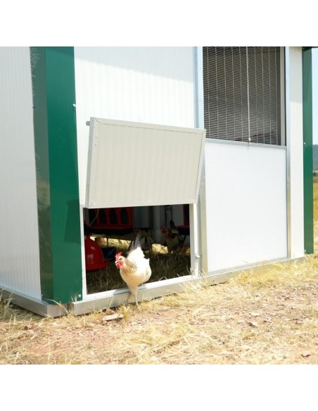 CORRAL MOVIL PARA GALLINAS (HASTA 110 GALLINAS) COPELE - 4,4 X 2,5 X 1,8 METROS