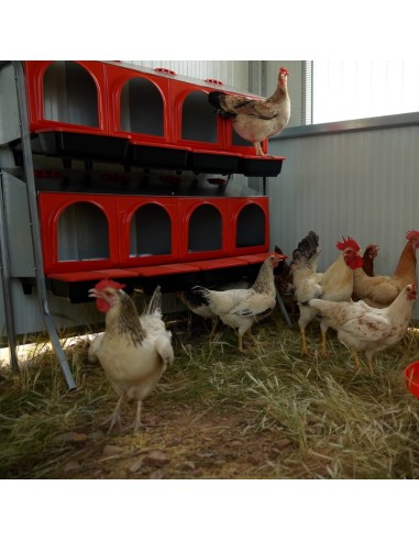CORRAL MOVIL PARA GALLINAS (HASTA 110 GALLINAS)...
