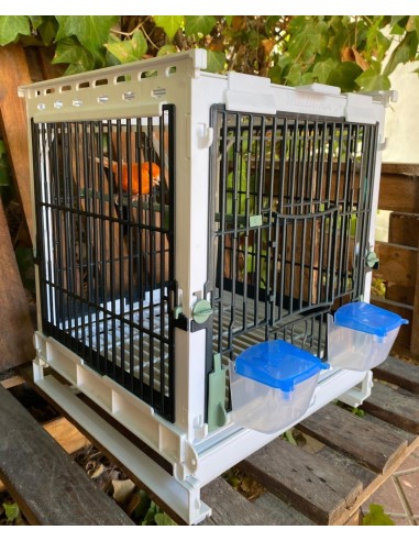 JAULA MÓDULO MA MOLDES AVE