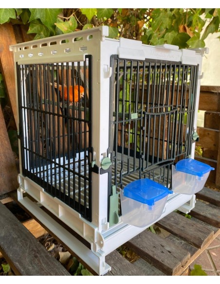 JAULA MÓDULO MA MOLDES AVE