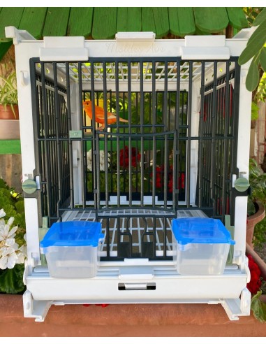 JAULA MÓDULO MA MOLDES AVE