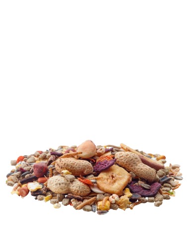 CHIP NATURE ARDILLA VERSELE LAGA - 750 GR