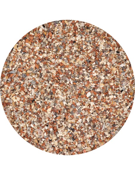 GRIT Y PIEDRA ROJA VERSELE LAGA