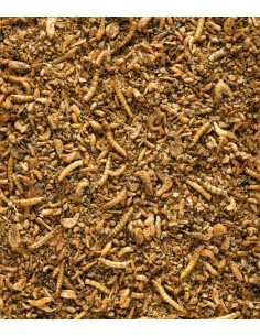 ORLUX UNI PATEE PREMIUM PARA INSECTIVOROS VERSELE LAGA -... 2