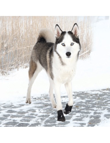 BOTAS PROTECTORAS WALKER ACTIVE EXTRA (2...