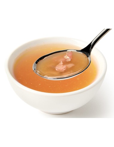 SOPA DE PESCADO OCEÁNICO PARA GATOS CANAGAN -...