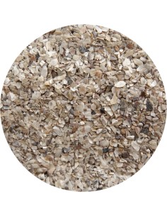 CONCHILLA OSTRA FINA PET CUP - 25 KG