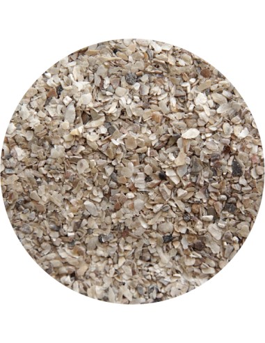 CONCHILLA OSTRA FINA PET CUP - 25 KG