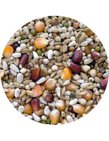 MIXTURA PALOMOS JERRY MAX PET CUP - 25 KG