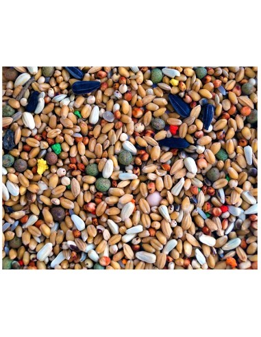 MIXTURA PERDICES PET CUP - 25 KG