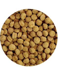 PIENSO PERFECT PSITACIDAS PET CUP 2