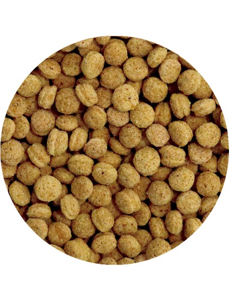 PIENSO PERFECT PSITACIDAS PET CUP