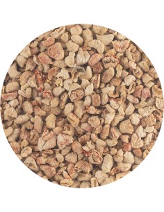 LECHO DE MAZORCA DE MAIZ PET CUP