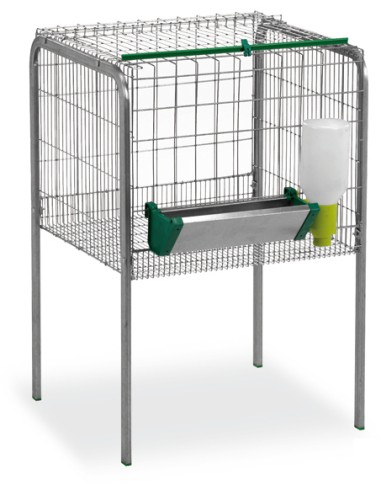 JAULA ENGORDE DE POLLOS 1 DEPARTAMENTO GAUN -...