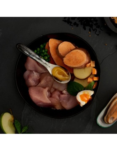 PIENSO POLLO CAMPERO PARA CACHORROS CANAGAN