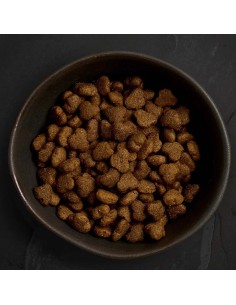 POLLO CAMPERO PARA CACHORROS CANAGAN 2