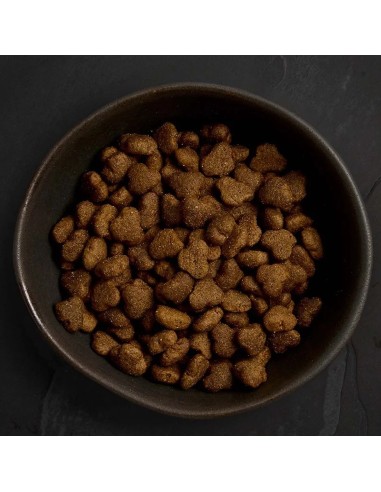 PIENSO POLLO CAMPERO PARA CACHORROS CANAGAN