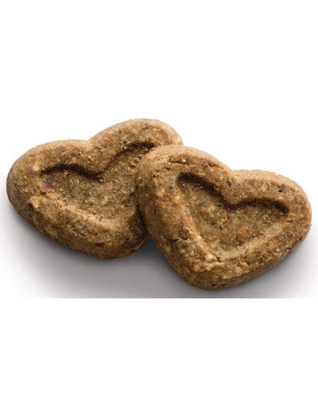 GALLETAS HORNEADAS DE SALMÓN OMEGA PARA PERROS CANAGAN - 150 GR