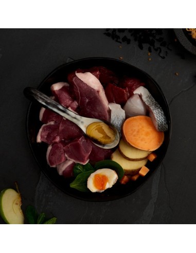 CARNES DE CAZA PARA GATOS CANAGAN