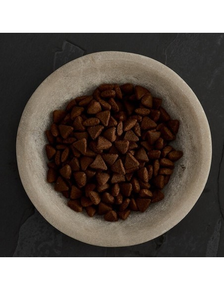 CARNES DE CAZA PARA GATOS CANAGAN