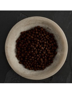 SALMÓN ESCOCÉS PARA GATOS CANAGAN 2