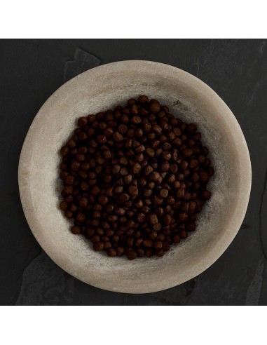 PIENSO SALMÓN ESCOCÉS PARA GATOS CANAGAN