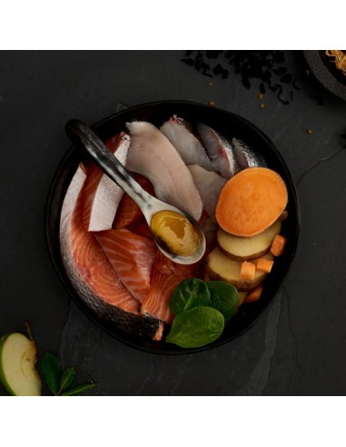 SALMÓN ESCOCÉS PARA GATOS CANAGAN