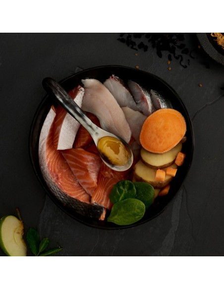 PIENSO SALMÓN ESCOCÉS PARA GATOS CANAGAN