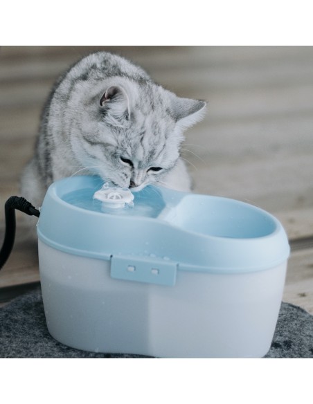 FUENTE AGUA PARA GATOS CAT 2 LITROS H2O