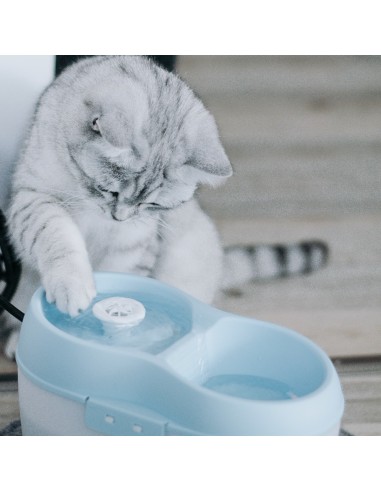FUENTE AGUA PARA GATOS CAT 2 LITROS H2O