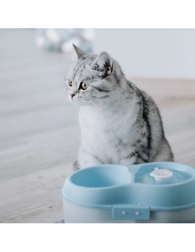 FUENTE AGUA PARA GATOS CAT 2 LITROS H2O