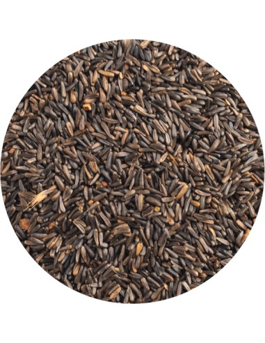 NEGRILLO PET CUP - 20 KG