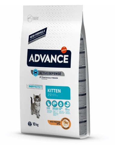 KITTEN AFFINITY ADVANCE