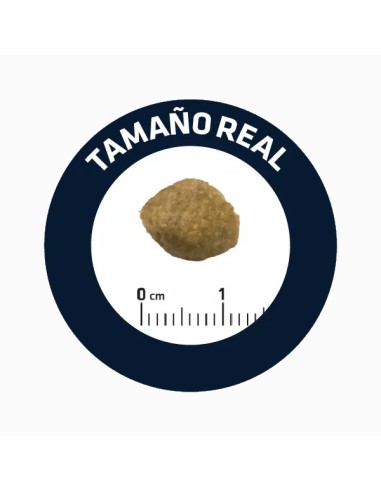 ADVANCE VETERINARY DIETS DOG URINARY AFFINITY...