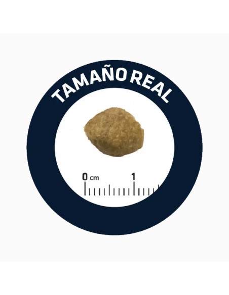 ADVANCE VETERINARY DIETS DOG URINARY AFFINITY ADVANCE