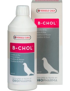 OROPHARMA B CHOL VERSELE LAGA - 250 GR