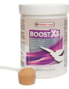 OROPHARMA BOOST X5 500GR VERSELE LAGA - 500 GR